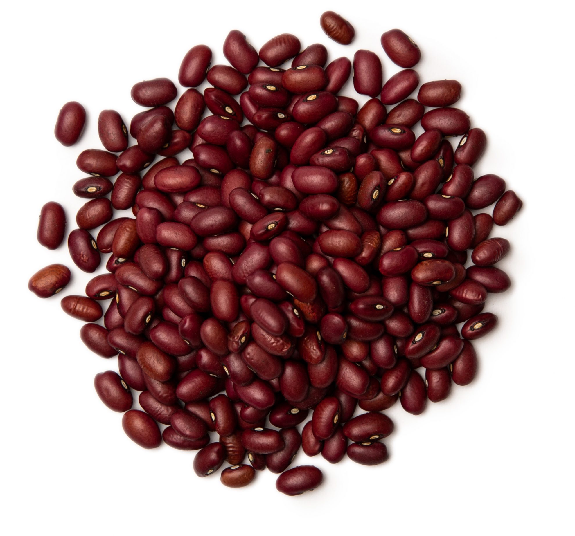 what are small red beans used for